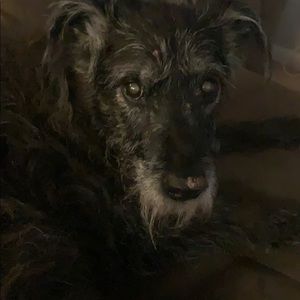 Meet your Posher, Richard